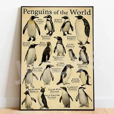 Poster Pinguino Vintage Identificazione Animali Stampa Arte Da Parete, Senza Cornice
