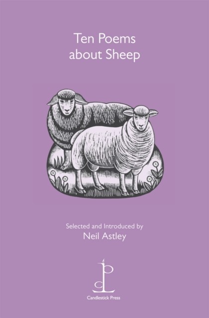 Ten Poems About Sheep & Ten Poems About Dogs Set of 2 Books - Image 5