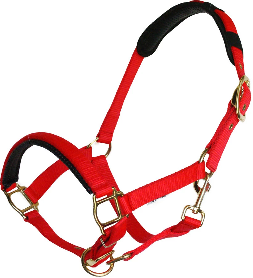 Mustang Tornado Halfter für Pferde Rot alle Größen