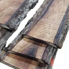 2ft Long Sapwood One Side Walnut Live Edge Slab