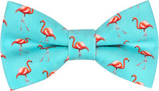 Cute Pattern Pre-tied Bow Tie Adjustable Bowties for Adult  Children