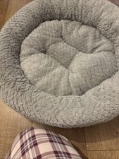 Dog Bed