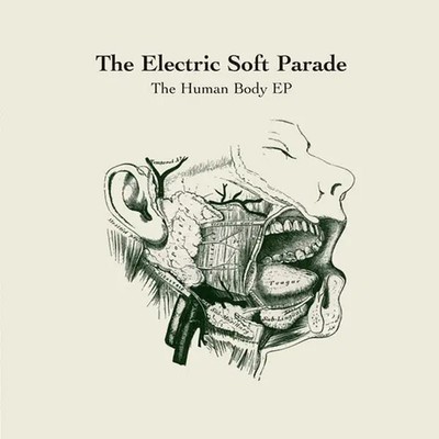 CD The Electric Soft Parade The Human Body EP EP Better Looking Records