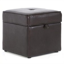 Sydney Modern Ottoman Storage Ottoman, Brown