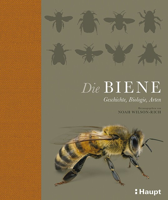 Die Biene Monika Niehaus