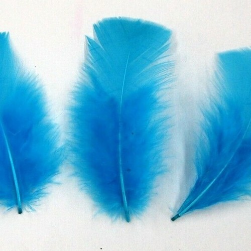 30 Pcs TURKEY PLUMAGE Feathers 2-5" TURQUOISE (Hats/Crafts/Halloween/Costume) - Picture 2 of 2