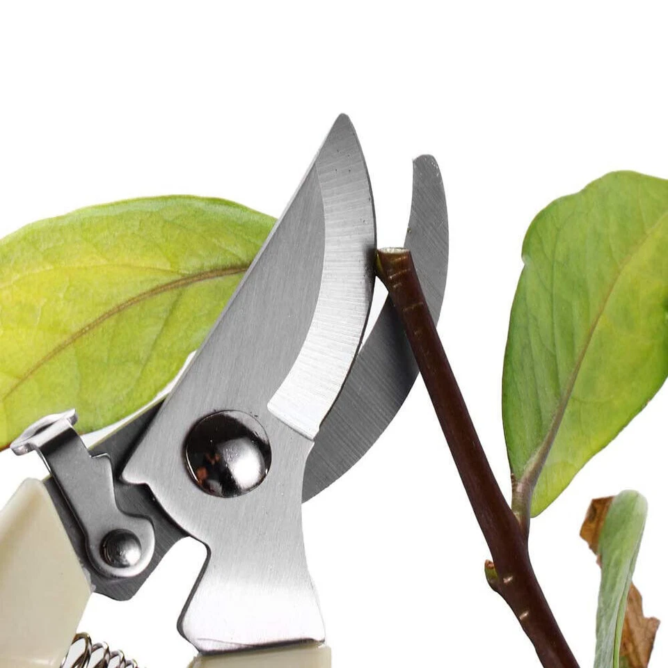 2 PCS Garden Pruning Shears Set Bypass Pruner Straight Blade Scissors CS - Image 3 of 4