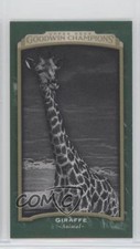2017 Goodwin Champions Black & White Cloth Mini Lady Luck Back 12/25 Giraffe 2d8