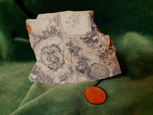 Kugel - Diorit aus Korsika  "Standstück" sehr selten - Bild 1 von 7