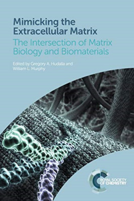 Mimicking the Extracellular Matrix: The Intersection of - Paperback / softback N
