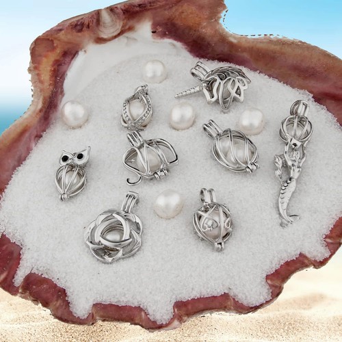 Women's Jewelry Making Cage Charms Cute Oyster Pearl Bead Cages Bulk Aromatherap - Picture 2 of 9