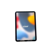 Apple iPad Mini 6th Gen A2568 256GB Wi  Fi