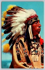 Native American Postcard: Black Elk, Sioux Warrior, Vintage Photo, USA Unposted