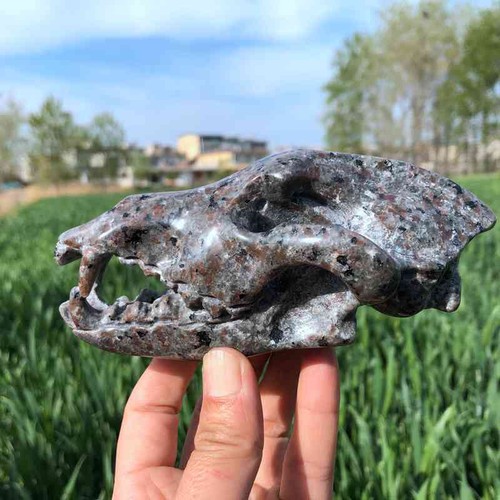 Calavera de cristal tallada a mano de cuarzo piedra llama natural 400 g Reiki.XK3432 - Imagen 6 de 16