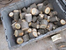 BBQ Sassafras Wood Chunks for Grilling Smoking Barbecue Competition Size