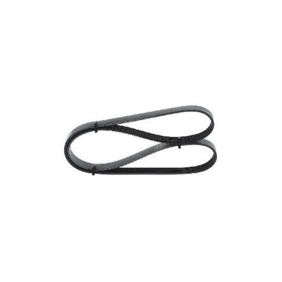 Bosch Keilrippenriemen MD326782 MD345384 6543CH 9091602467 9936501080 21279187