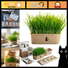 Indoor Cat Grass Grow Kit - 4-Batch Set with Containers, Soil  Seeds  Digestio