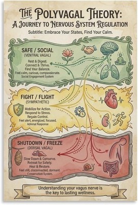 Polyvagal Theory Poster Nervous System Regulation Educational Chart