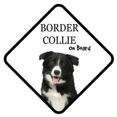 BORDER COLLIE an Bord Autoschild mit Sauger Hund Aufkleber