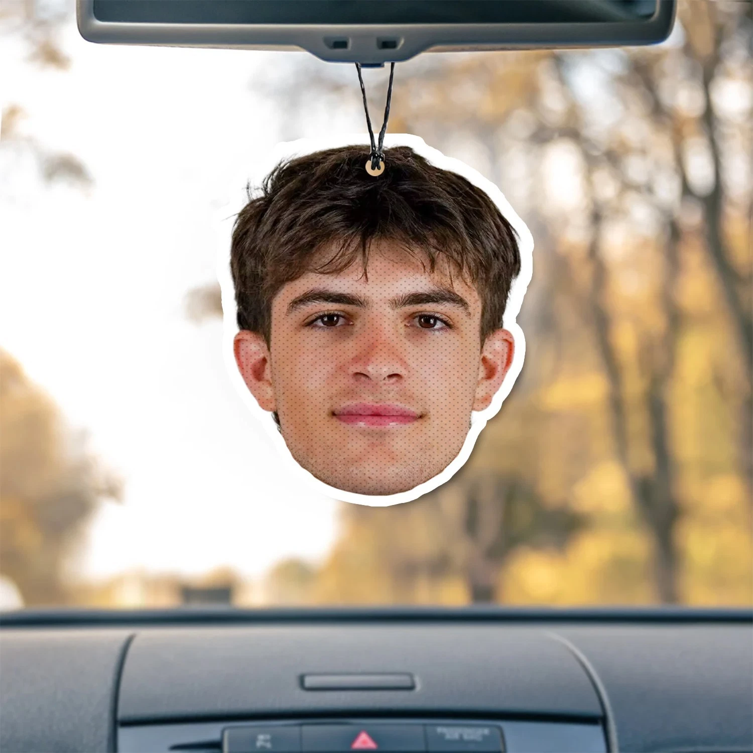 Taran Armstrong Unscented Hanging Car Air Freshener Freshie