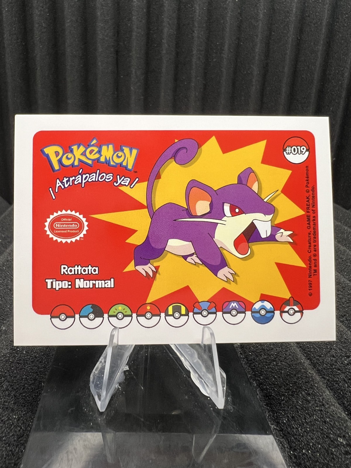 Rattata #19 - Who's That Pokemon 2025 - Pokemon Card NM