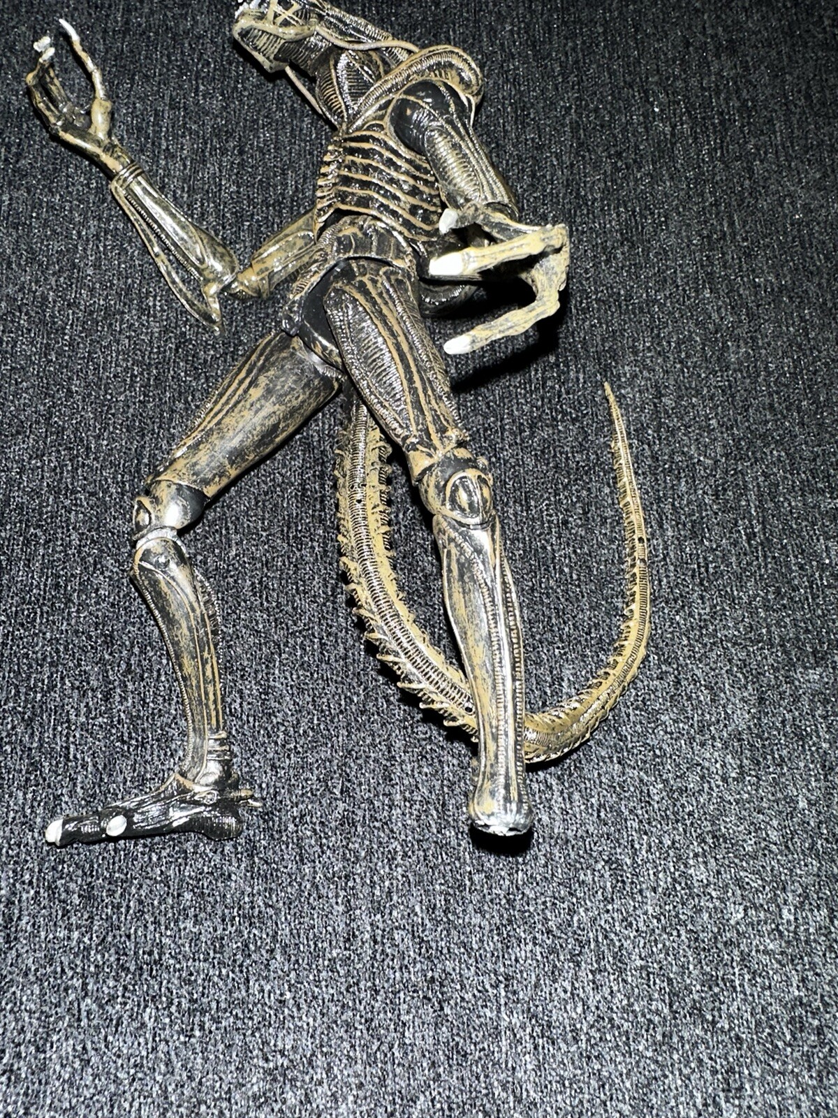 Picture 18 of 24