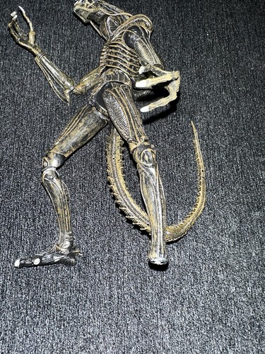 Alien vs. Predator: Grid Alien & Eggs With facehuggers Lot - Picture 18 of 24
