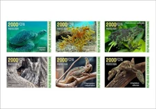 CENTRAL AFRICAN 2024 DELUXE - TURTLES TURTLE FROGS FROG SEAHORSE OWL CHAMELEON