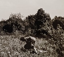 Frau bückt sich auf einer Wiese Lichtung pflückt etwas Wald Heidelandschaft Foto