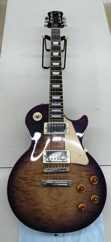 EPIPHONE LES PAUL STANDARD PRO Electric Guitar