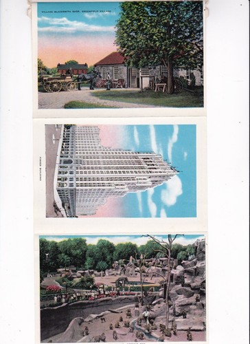 VTG. DETROIT, MICHIGAN SOUVENIR PHOTO PACK FORD, EDISON INST., SCOTT FOUNTAIN + - Foto 5 di 8