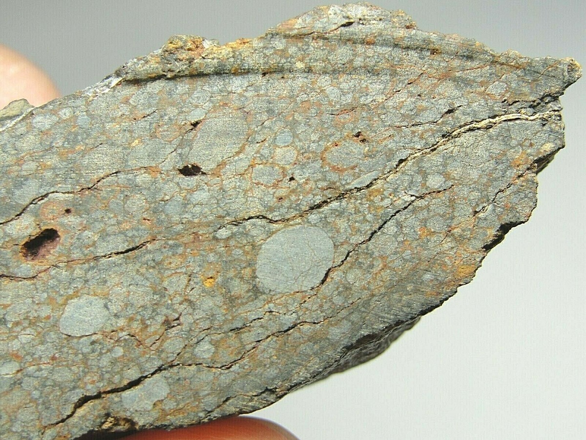 NWA 10997 Official Meteorite - LL3(3.2) - G665-0006 - 28.81g