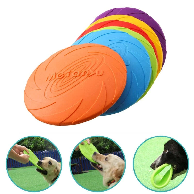 Ultimate frisbee clearance dog
