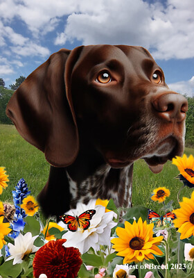 German Shorthair Pointer Summer Fields Flag