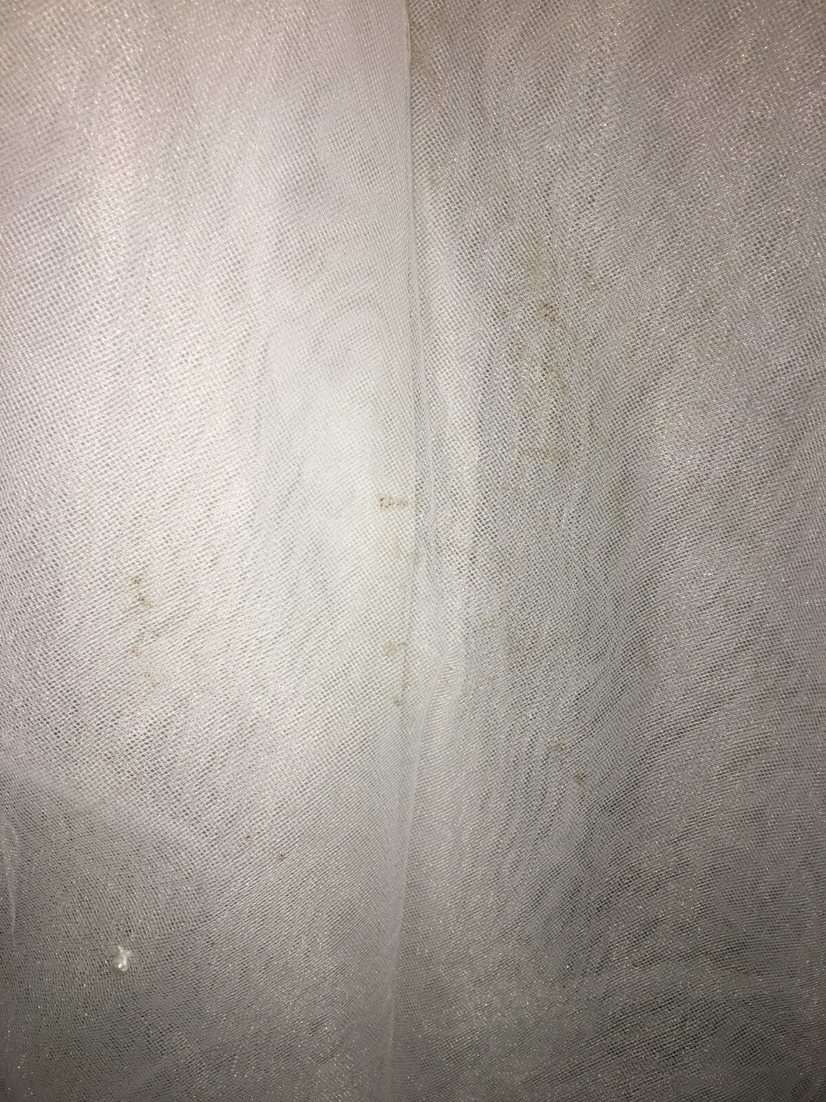 Picture 4 of 10