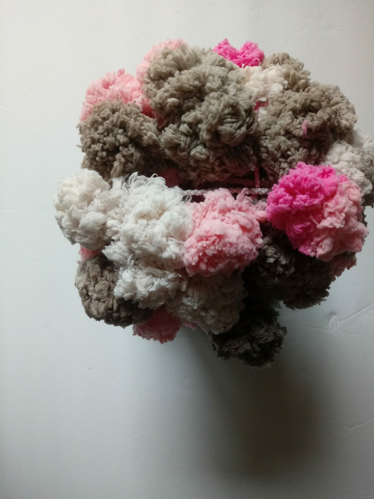 Picture 5 of 8