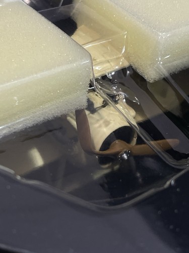 Corgi AA37902 SPAD XIIIC-1, 2 Georges Guynemer French Air Service Airplane 1:48 - Picture 9 of 10