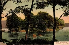 White Birch Island Oscawana Lake Peekskill NY Trees Water A.B. Kennedy 1907