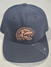 Branded Bills Elite Series Black Eagle Patch Hat Water Resistant Performance Cap