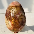 Natural Petrified Wood Egg Quartz Crystal Fossil Mineral 6460g — photo 10