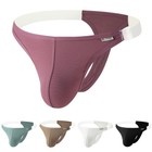 Male Low Waist Thong Underwear Breathable Mesh Fabric Men's Briefs Stretch Fit