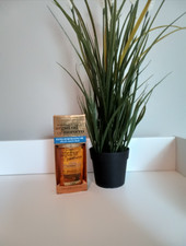 Renewing Argan oil of Morocco