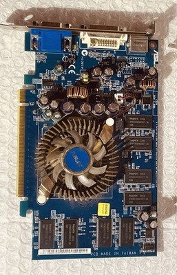 ASUS GeForce 6600 graphics card.