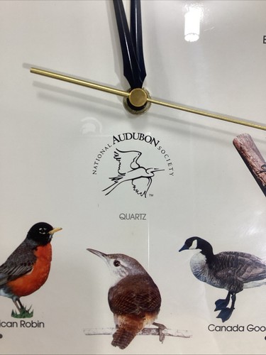 National Audubon Society Quarz Singvogel Uhr Kunstholzrahmen GETESTET (L2) - Bild 2 von 10