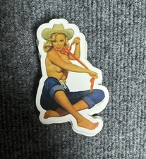 Sexy Pinup Girl Humor Skateboard Laptop Guitar Decal Sticker
