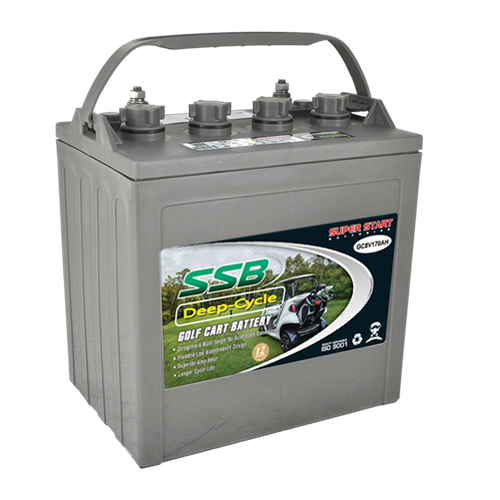 EZGO Golf Cart Batteries Golf Buggy Battery 8v 170AH T875 Battery eBay