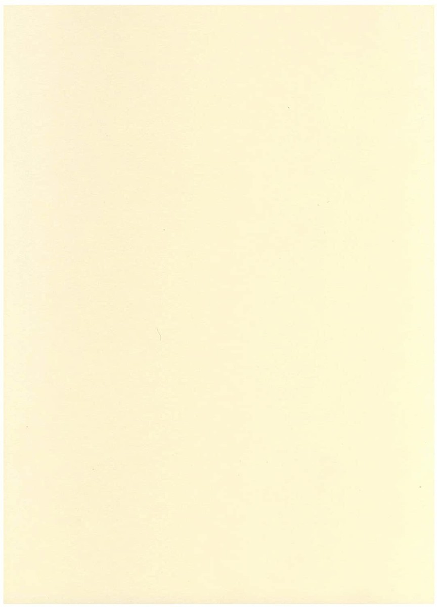 Dove Acquistare Un Album Per Scrapbooking - Foto 2