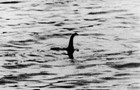 8x10 Scary Loch Ness Monster Photo Freaky Monster Nessie