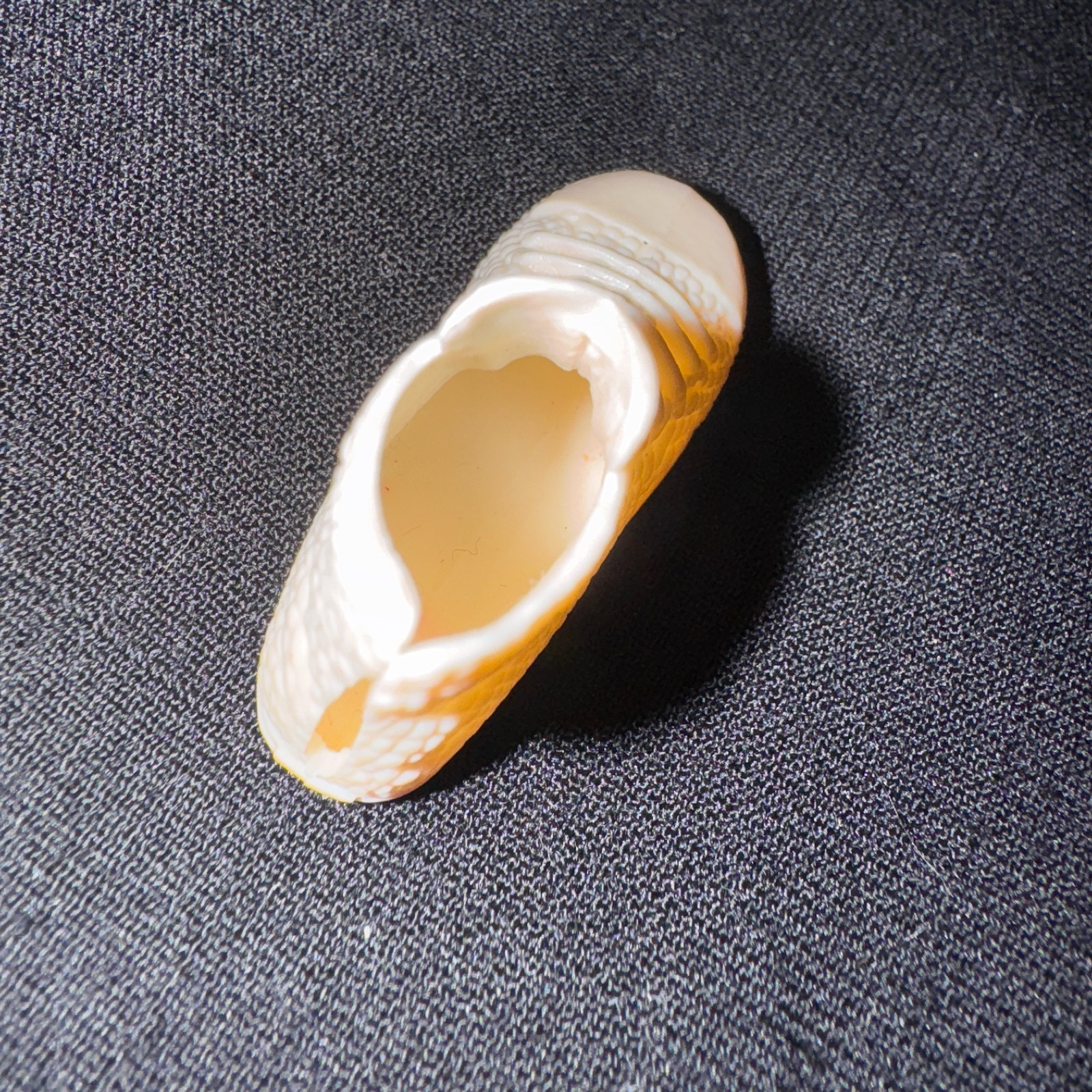 Picture 56 of 341