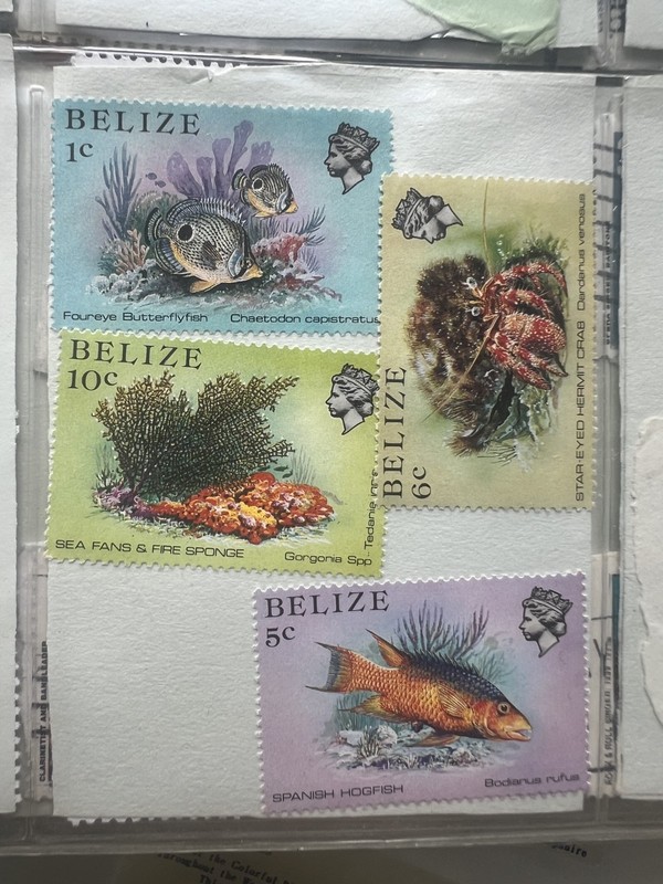 M4428 BELIZE SEA FANS & FIRE SPONGE STAMPS - MARINE LIFE - QEII